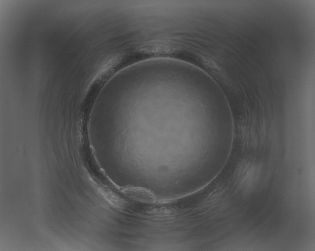 X0000051880735200506241413