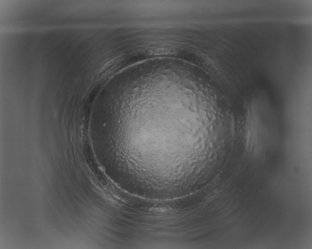 X0000051880741200506241413