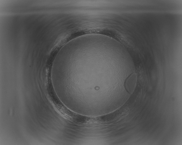X0000051880742200506241413