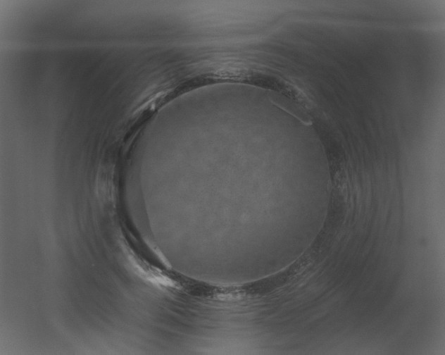 X0000051880744200506241413