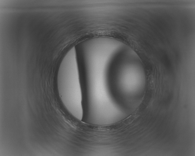 X0000051880746200506241413