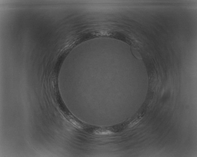 X0000051880747200506241413