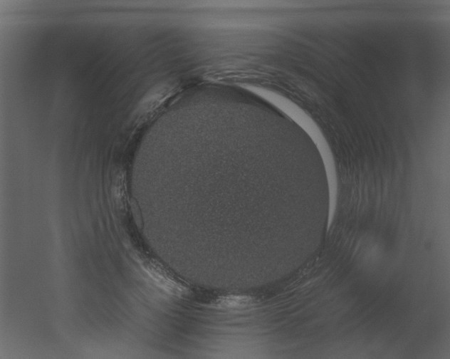 X0000051880748200506241413