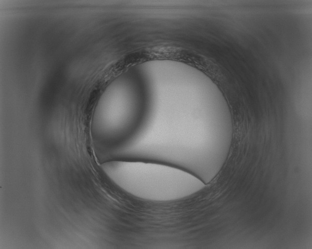 X0000051880749200506241413