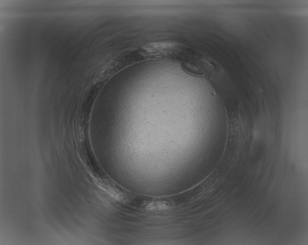 X0000051880751200506241413