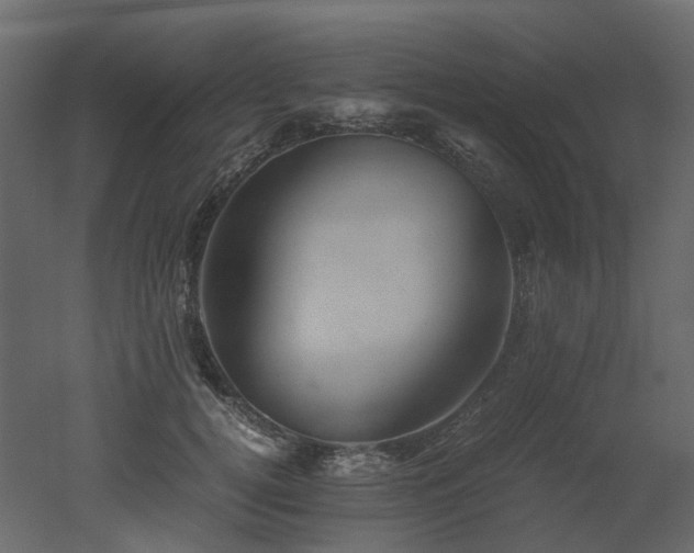 X0000051880752200506241413