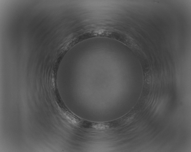 X0000051880754200506241413