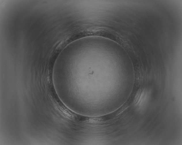 X0000051880758200506241413