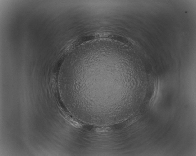 X0000051880761200506241413