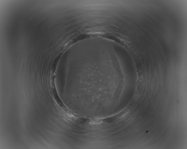 X0000051880767200506241413