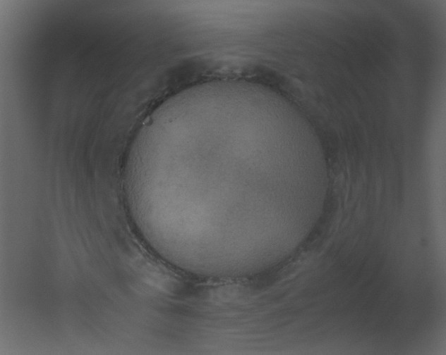X0000051880769200506241412