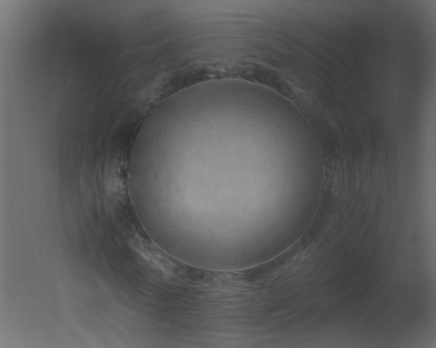 X0000051880770200506241412