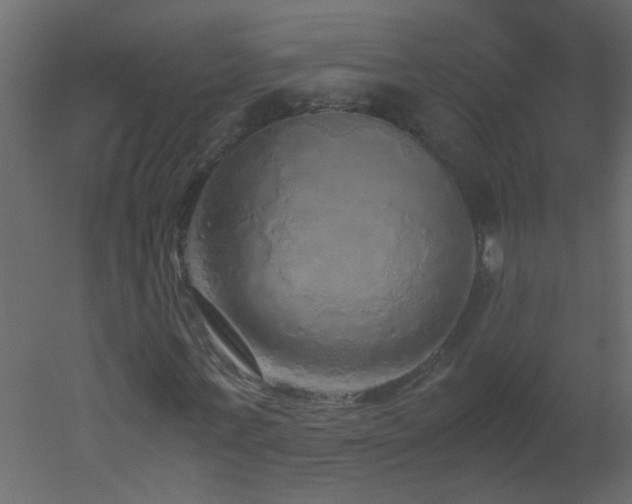 X0000051880771200506241412