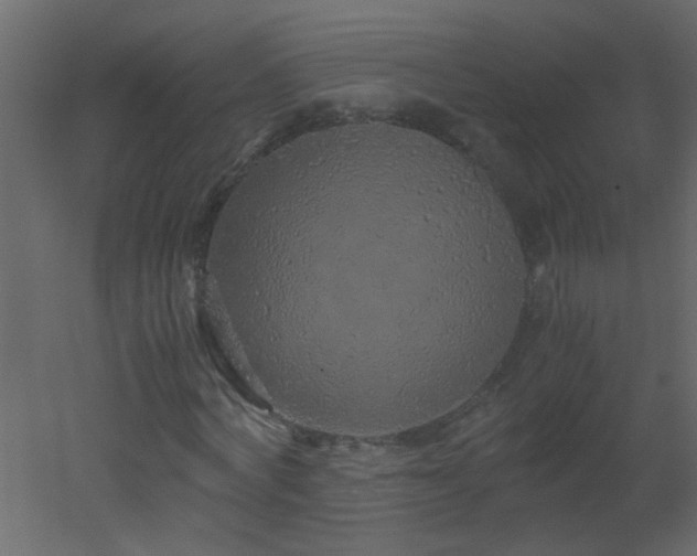 X0000051880772200506241412