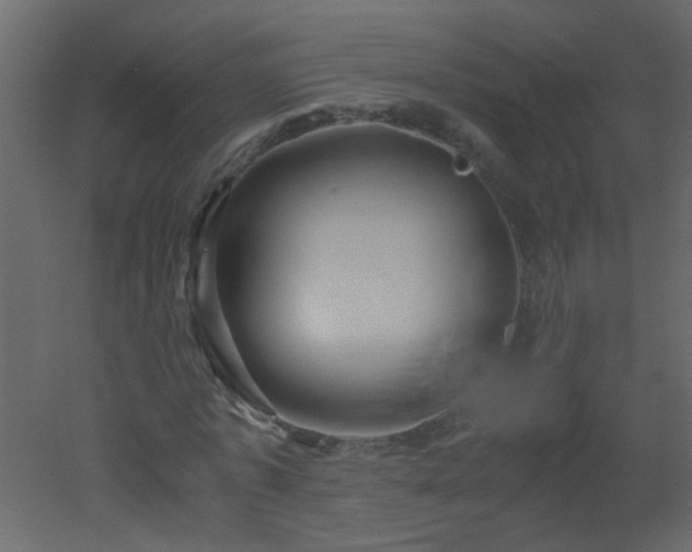 X0000051880773200506241412