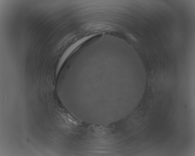 X0000051880774200506241412