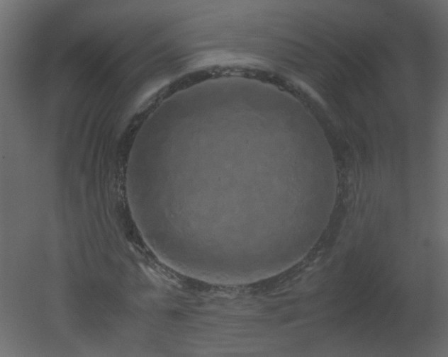 X0000051880775200506241412