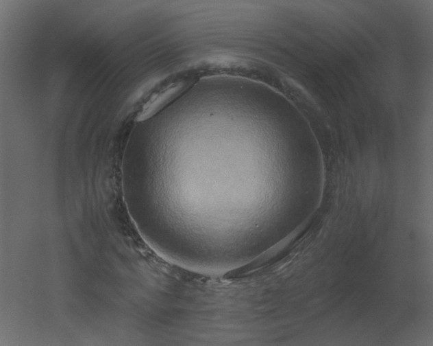 X0000051880776200506241412