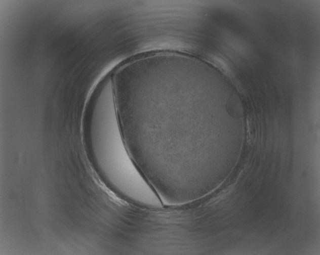 X0000051880780200506241412