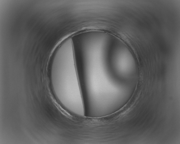 X0000051880787200506241412