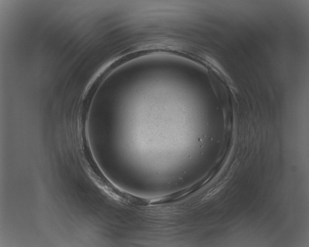 X0000051880788200506241412