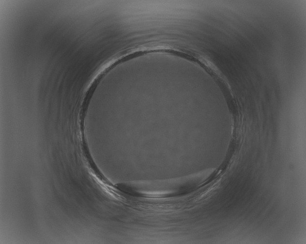X0000051880789200506241412