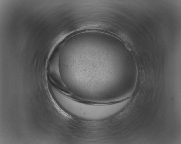 X0000051880792200506241412