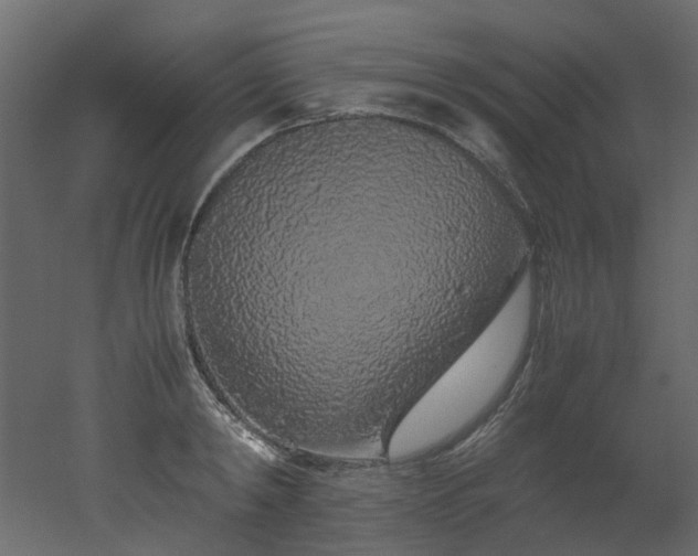 X0000051880798200506241412