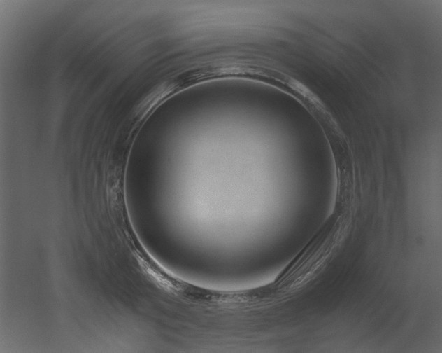 X0000051880801200506241412