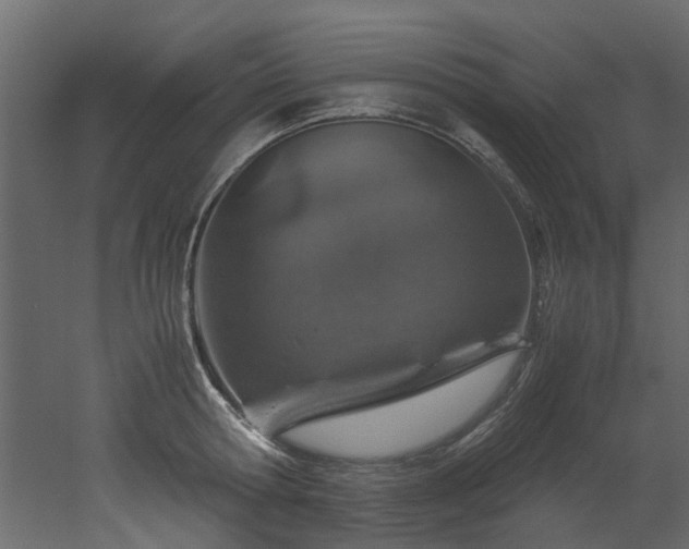 X0000051880802200506241412