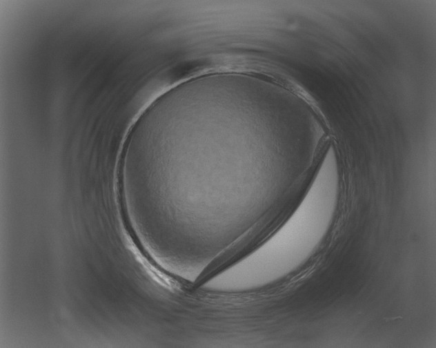 X0000051880803200506241412