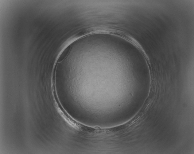 X0000051880811200506241412