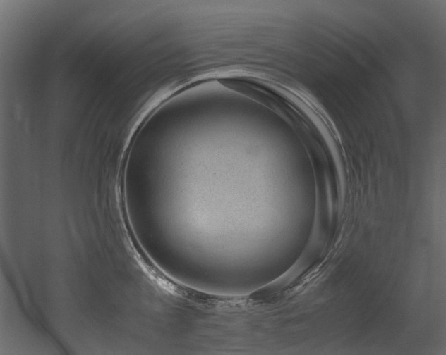 X0000051880813200506241412