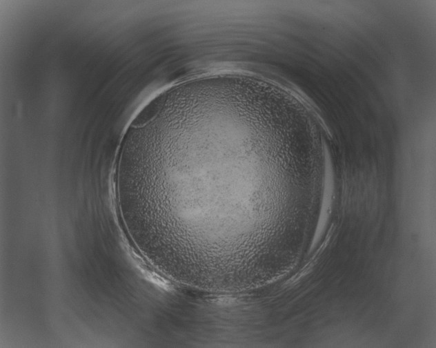 X0000051880814200506241412