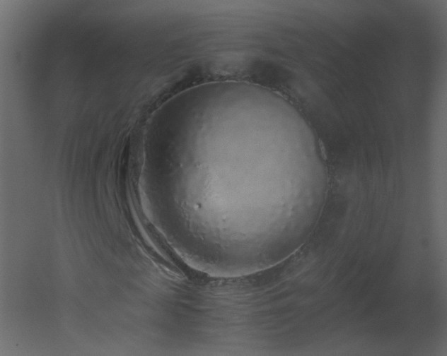 X0000051880817200506241411