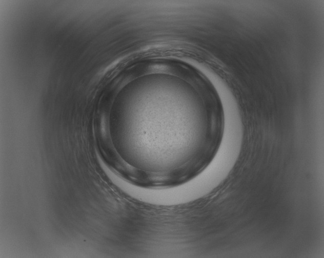X0000051880822200506241411