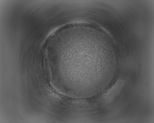 X0000051880823200506241411