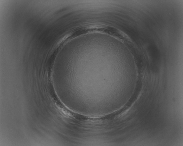 X0000051880825200506241411