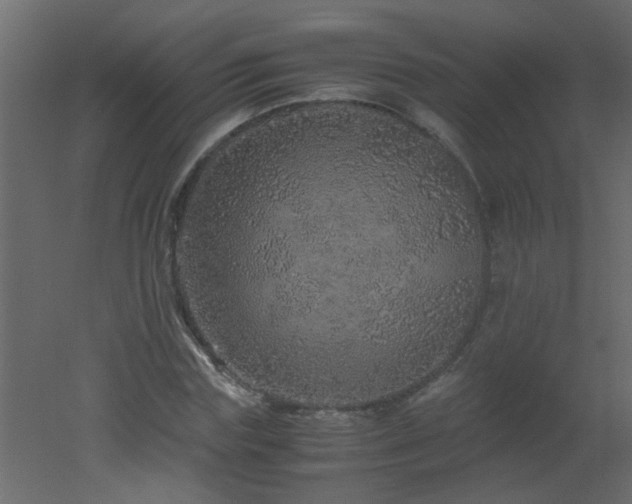 X0000051880827200506241411