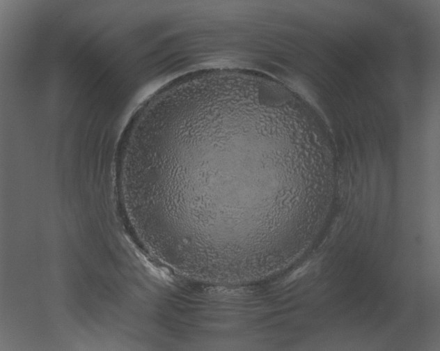X0000051880831200506241411