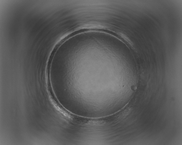 X0000051880840200506241411