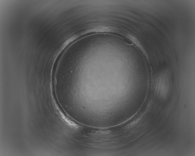 X0000051880845200506241411