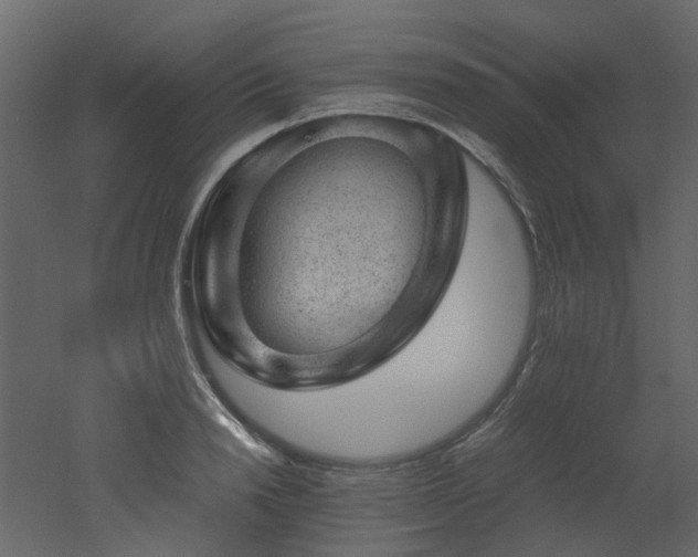 X0000051880846200506241411