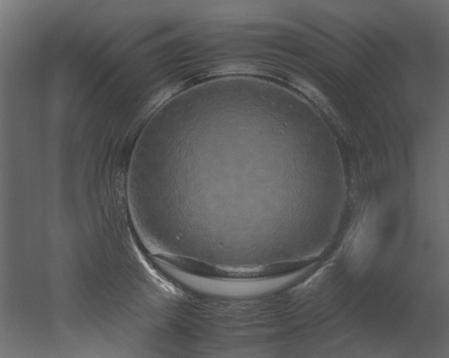 X0000051880849200506241411