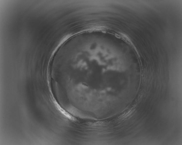 X0000051880851200506241411