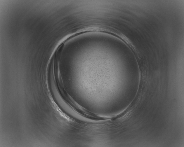 X0000051880854200506241411