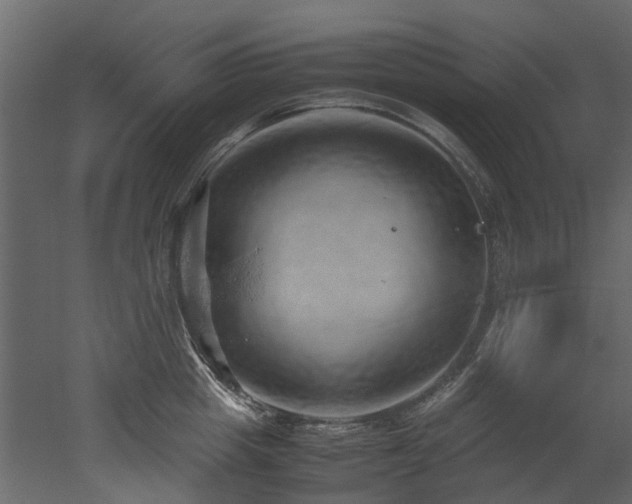 X0000051880857200506241411