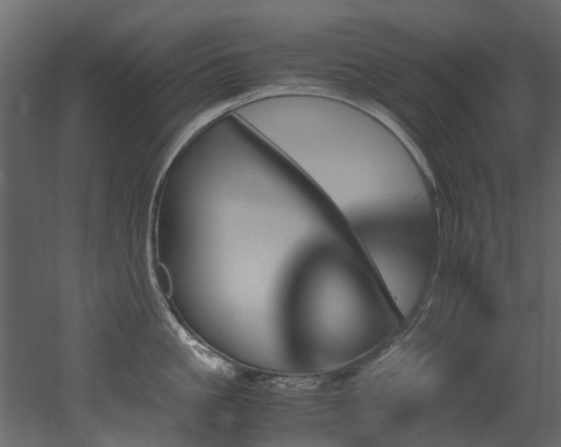 X0000051880861200506241412