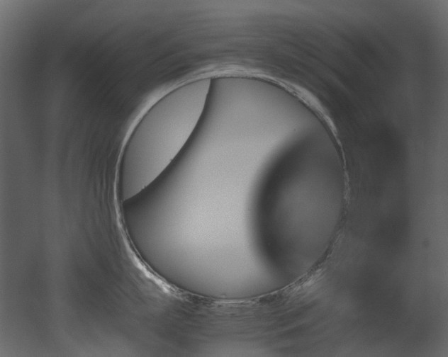 X0000051880863200506241412