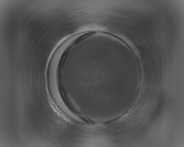 X0000051880864200506241412